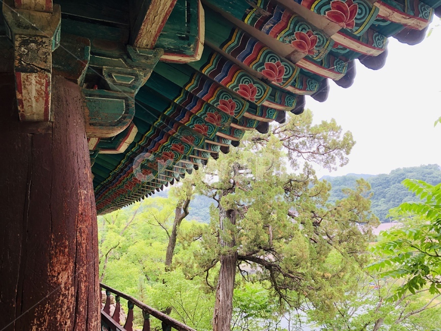 한옥,처마,자연,풍경,배경,정자,죽서루,문화재