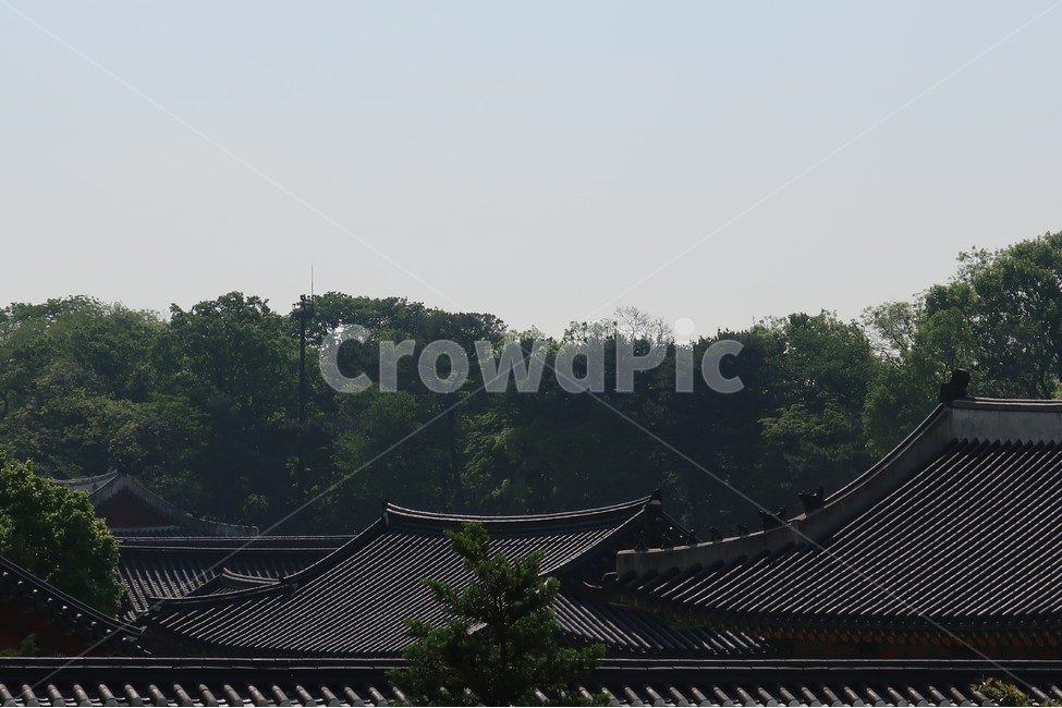 경복궁,기와,지붕,마루,팔작,용마루,추녀,한옥,궁궐,맞배,한국전통,한국문화,korean traditional,korean culture,건축물,건물외관,exterior,building,structure,architecture,construction