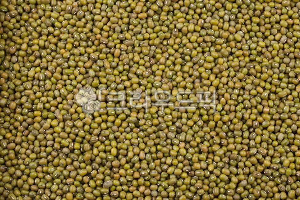 녹두,녹두전,빈대떡,곡식,잡곡,식품,음식,건강,식물,그릇,숟가락,mungbean,pancake,grain,multigrain,foodwind,food,health,healthfood,plant,bowl,spoon