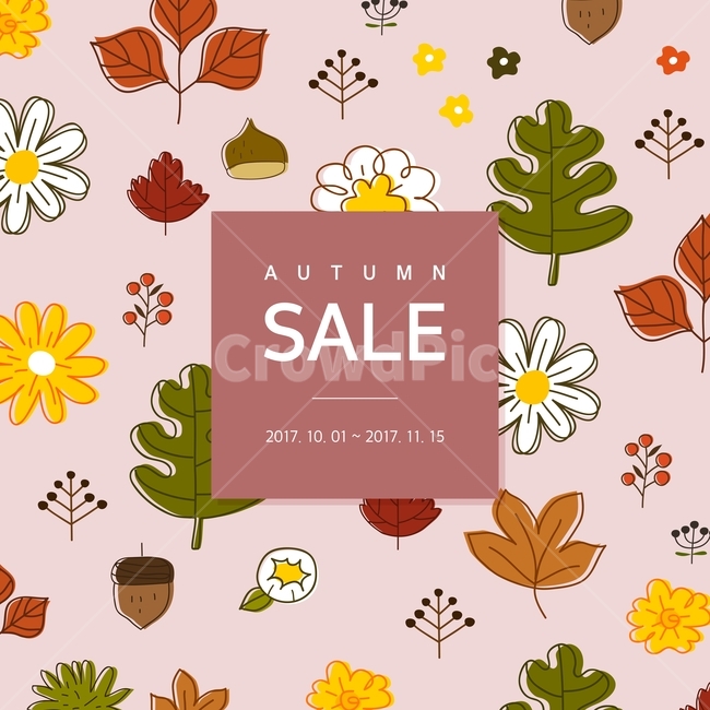 국화,꽃,밤,잎,팝업,가을,쇼핑,할인,행사,이벤트,가을,계절,fall,autumn,season,축제,행사,festival,carnival,event,쇼핑,shopping,그래픽,일러스트레이션,graphic,illustration
