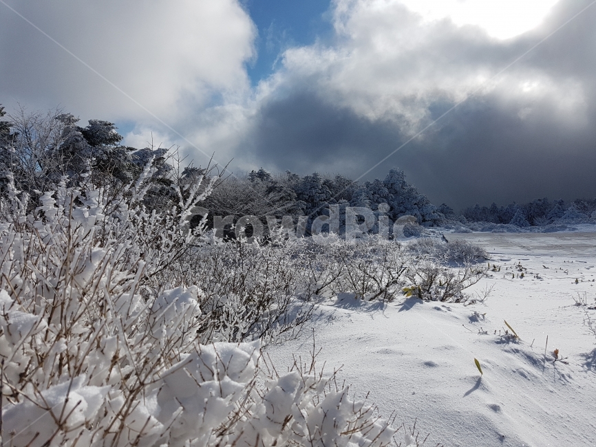 제주도,제주,눈,겨울,한라산,하늘,구름,풍경,자연,눈꽃,겨울,계절,winter,season,자연,풍경,nature,landscape,한국자연풍경,한국자연경관,korea nature landscape,outdoors,옥외,ice,얼음,snow