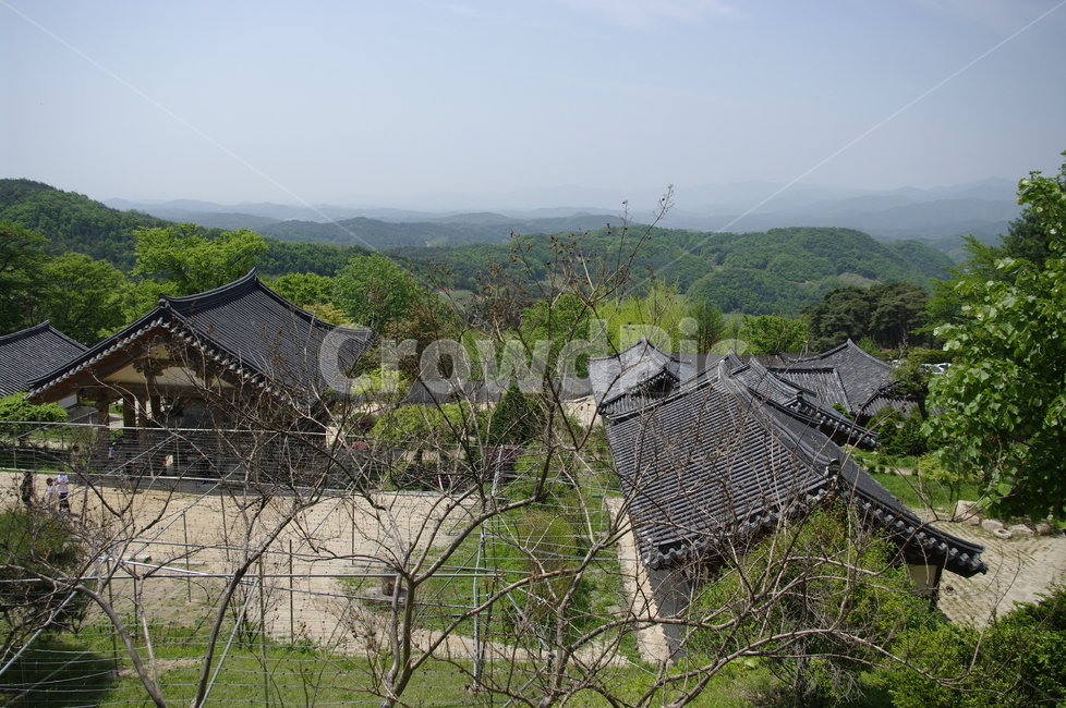 부석사,사찰,건축,전통건축,traditional,전통,기와지붕,풍경,초록,나무,잎,식물,plant,계절,봄,spring,한국전통,한국문화,korean traditional,korean culture