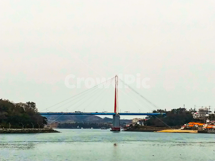 현수교,다리,바다,섬,여수,여수앞바다,교량,돌산대교,오동도,동백섬,컴퓨터배경사진,배경사진,배경,풍경사진,백그라운드,배경이미지,풍경이미지