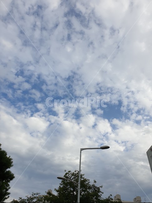 하얀,하늘,파란,구름,가로등,나무,건물