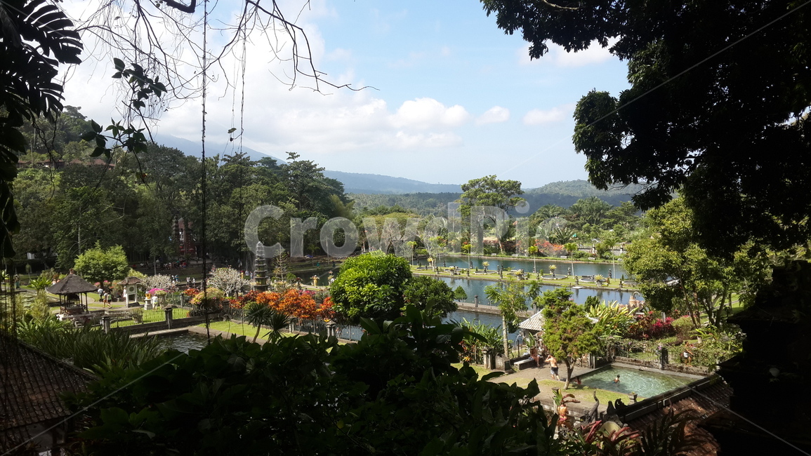 인도네시아,발리,공원,티르타강가,자연,indonesia,bali,park,garden,tirta,gangga,nature,정원