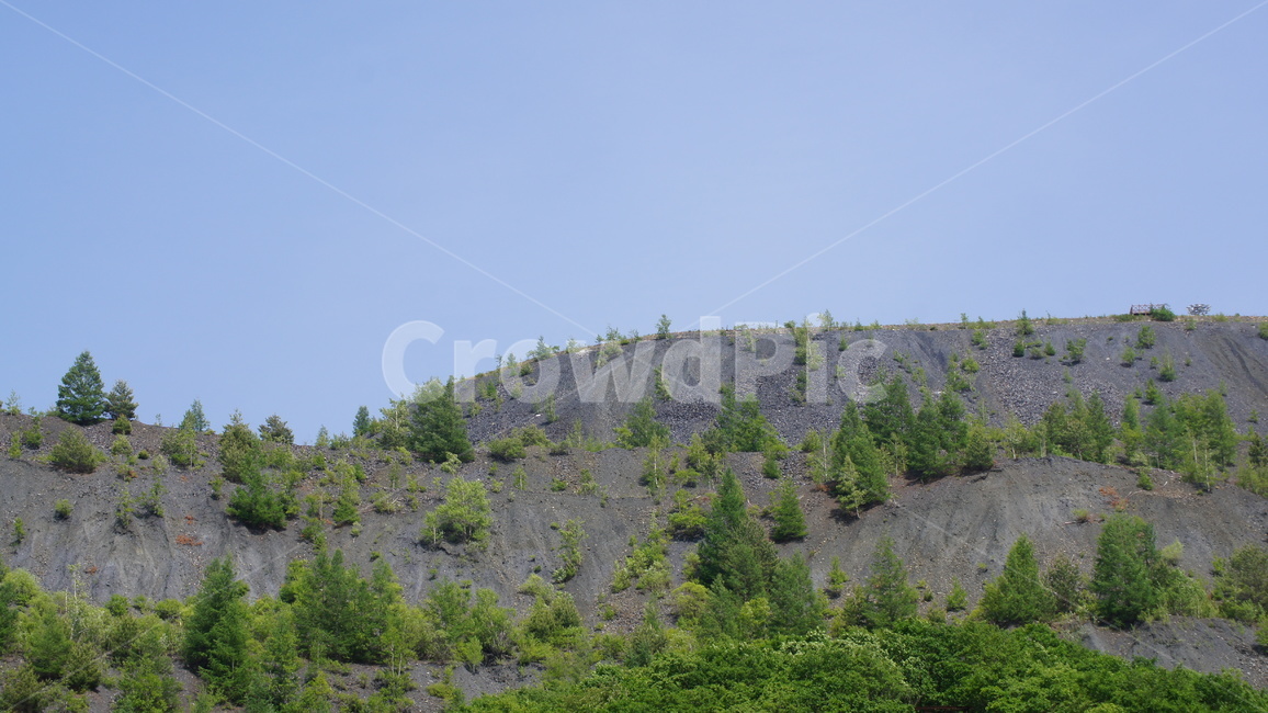 강원도,탄광,slope,nature,abies