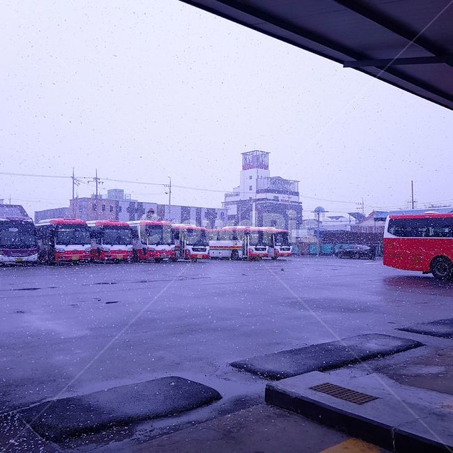 눈,겨울,버스터미널,함박눈,펑펑,겨울,계절,winter,season