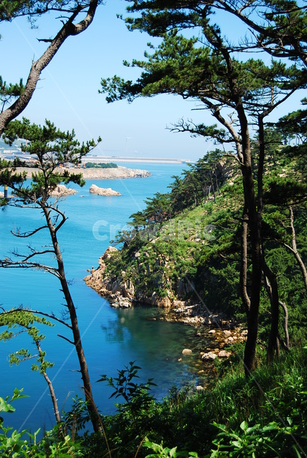 자연,바다,풍경,여름,대왕암,자연,풍경,nature,landscape,식물,plants,나무,trees,wood,outdoors,옥외,land,땅,water,물,shoreline,해안선,sea,ocean,대양