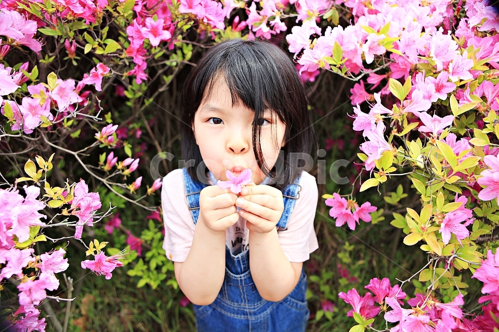 여자아이,아이,어린이,사람,자연,배경