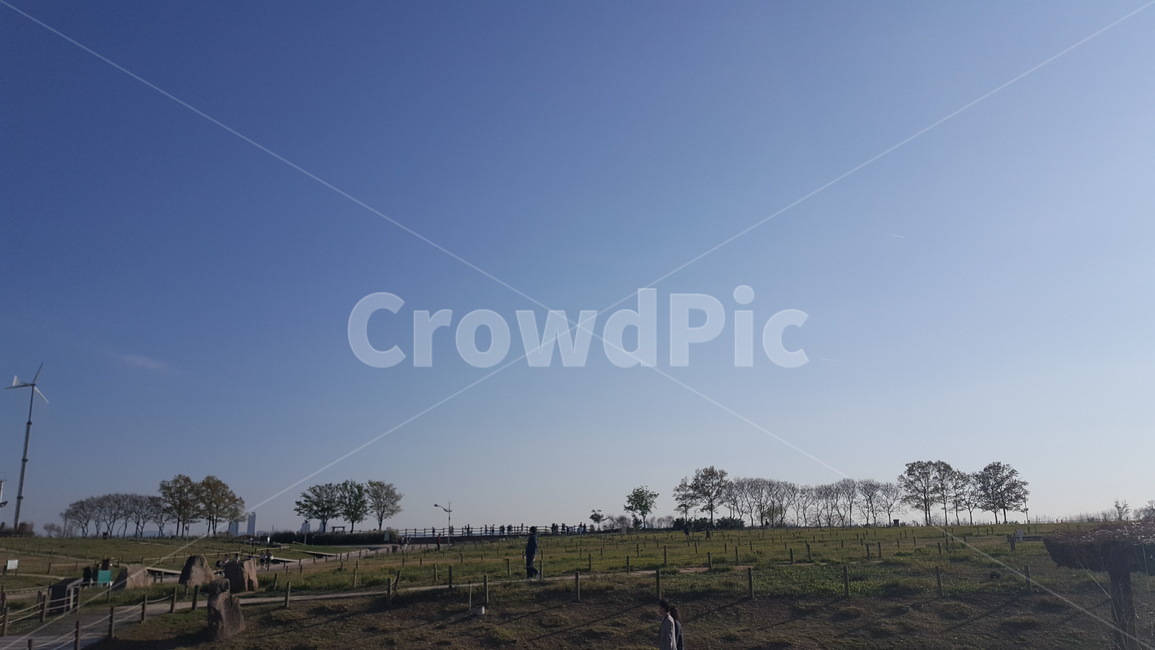 공원,들판,하늘,배경,파란,자연,풍경,nature,landscape