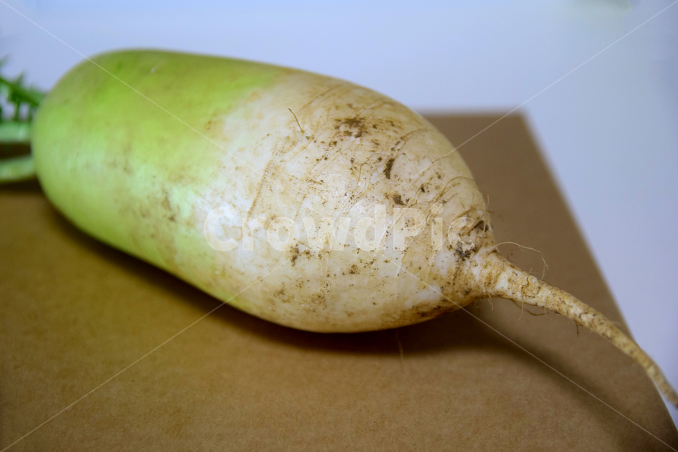 무,순무,무우,뿌리채소,채소,무잎,잎사귀,뿌리,야채,radish,vegetable,turnip,음식,식재료,요리,food,cook,meal,dishes,food reserves,채소,야채,vegetables