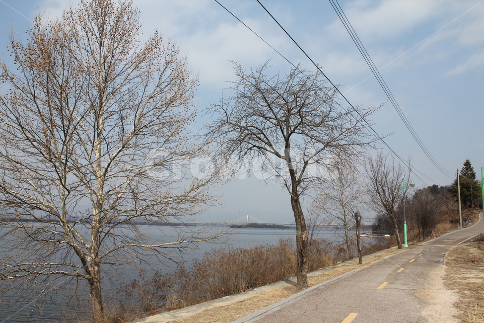 호수,물가,경치,풍경,자연,겨울,겨울호수,물,겨울,계절,winter,season,자연,풍경,nature,landscape,식물,plants,나무,trees,wood,road,도로,asphalt,아스팔트