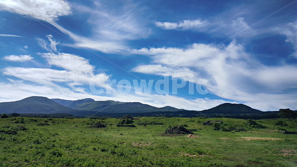 outdoors,옥외,nature,자연,나무,구름,파란하늘,자연,풍경,nature,landscape