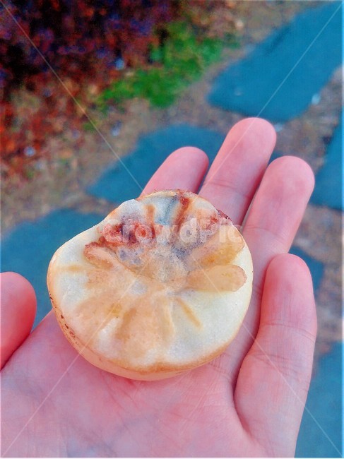 국화빵,길거리음식,음식,간식,손,food