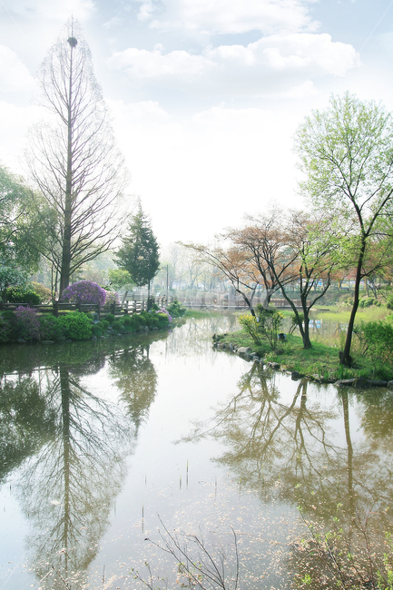 연못,물,water,공원,나무,봄풍경