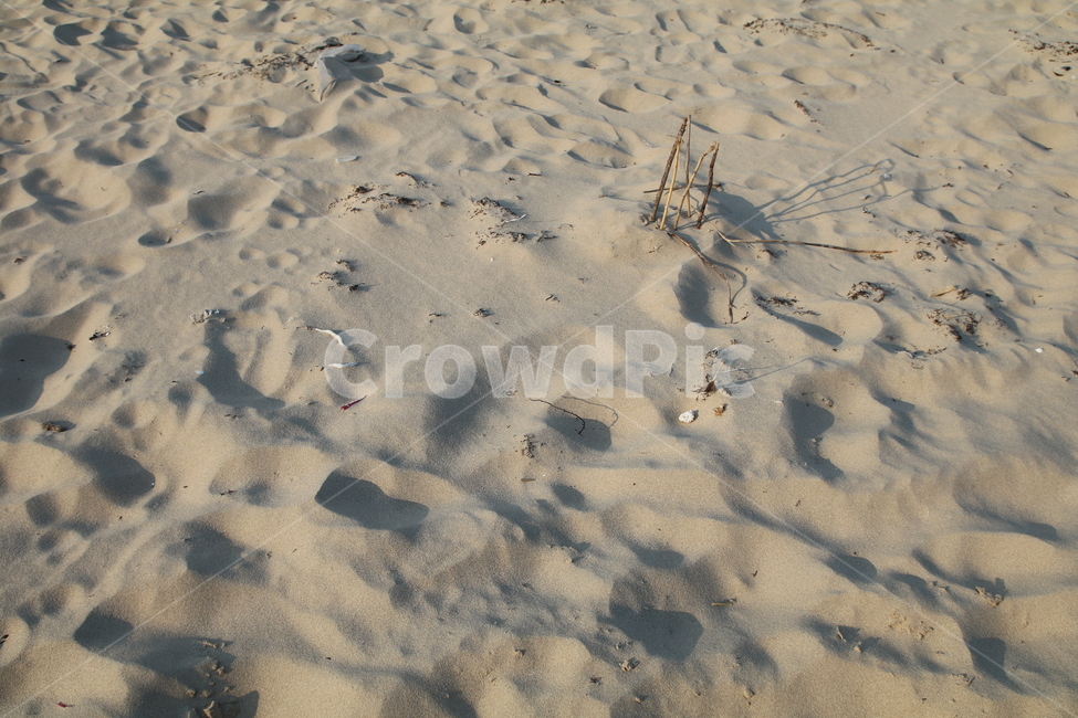 모레,모레사장,해수욕장,바다,발자국,해변,바다,beach,sea