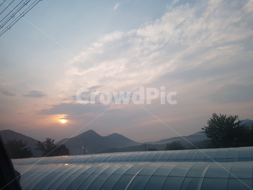 하늘,비닐하우스,노을,산,나무