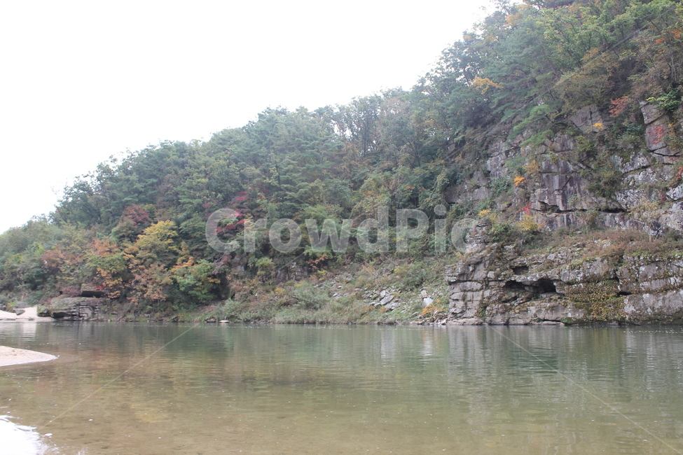 꽃,자연,풍경,아름다움,가을,경치,자연,풍경,nature,landscape,outdoors,옥외,water,물