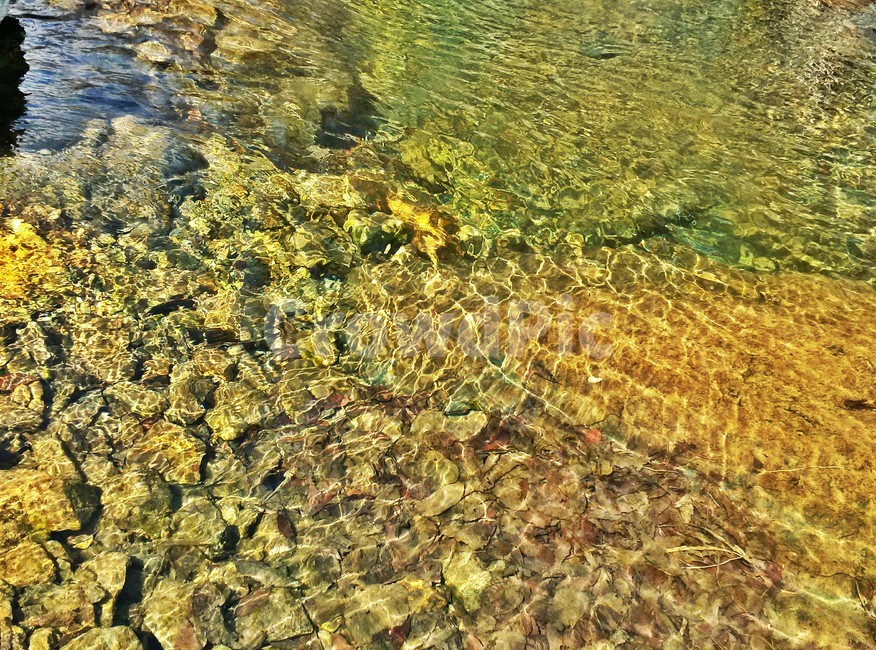 맑은물,계곡,깨끗한물,자연,1급수