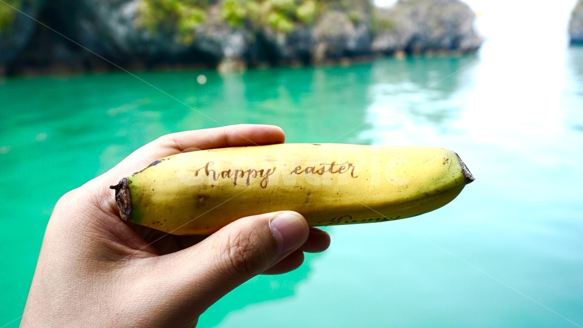 easter,calligraghy,banana,손글씨,부활절,바나나