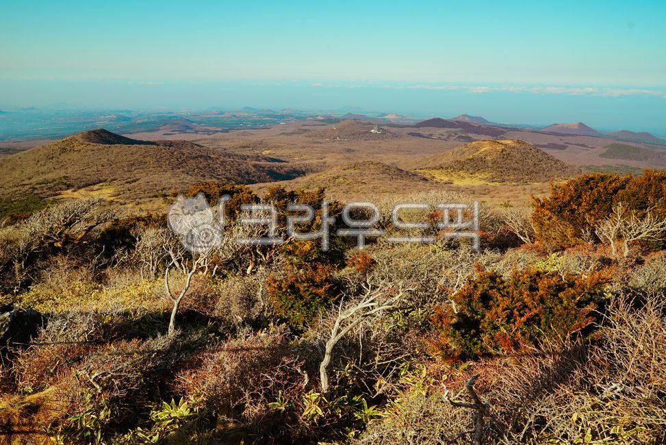 Jeju Island,Mt. Halla,Witsoreum,Yeongsil Course,Blue Sky,Hiking,Dolsan,Nature,Mountain,Environment,Panoramic View,Background Image