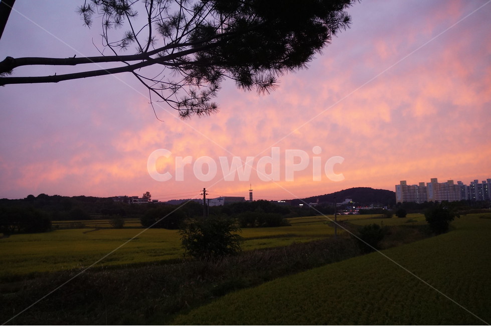 자연,nature,석양,하늘,sky,빨간색,붉은하늘,붉은노을,들판,outdoor,들,자연,풍경,nature,landscape,outdoors,옥외,field,grassland,목초지