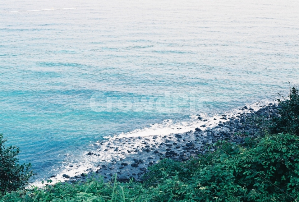 필름사진,바다,제주도,풍경사진,바다사진,자연,풍경,nature,landscape,한국자연풍경,한국자연경관,korea nature landscape,해변,바다,beach,sea,제주도,jeju,jeju island,감성,sensible,feeling,vegetation,초목,plant,식물,outdoors,옥외,water,물,ocean,대양,promontory,곶,land,땅
