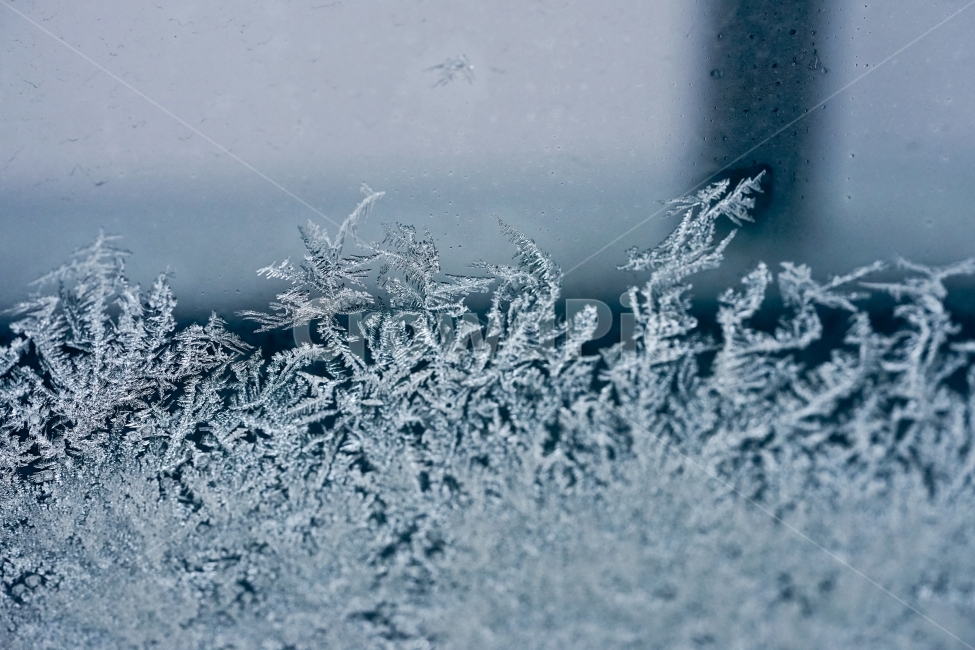 눈,스노우,접사,겨울,추위,얼음,느낌,감성,감성사진,접사사진,snow,결정,물,신비,자연,계절,겨울,계절,winter,season