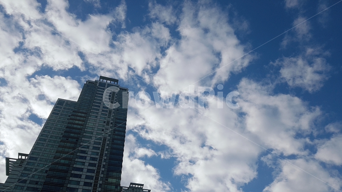 빌딩,하늘,아침,출근,풍경,도시,풍경,city,landscape,building,건물,office building,사무실 건물,nature,자연
