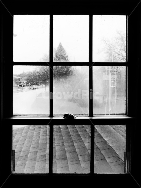 흑백,흑백사진,blackandwhite,창문,풍경,흑백,모노톤,monochrome,black and white