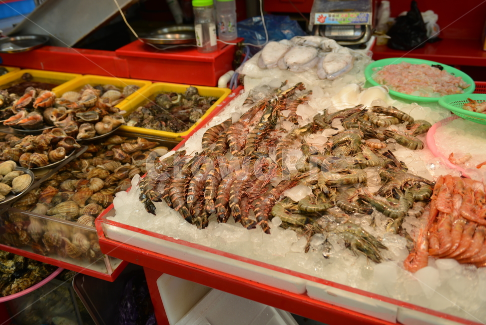 새우,해산물,수산물,시장,조개