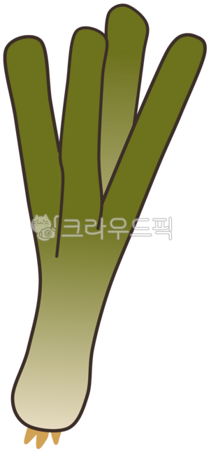 파, 대파, 쪽파, 채소, 야채, 사진,이미지,일러스트,캘리그라피 - 다블리이모작가