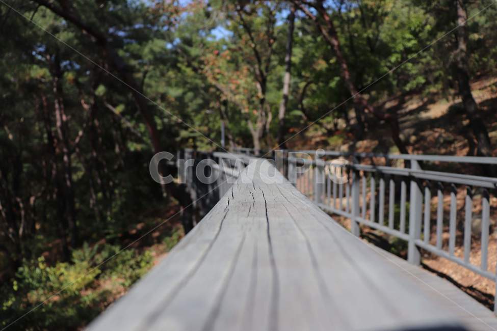 산,둘레길,숲,산책,산책길