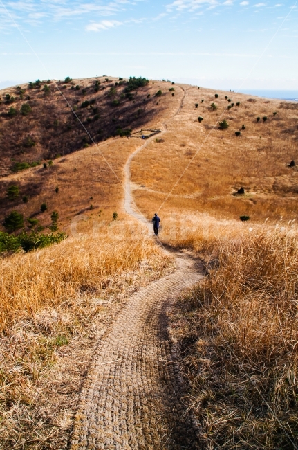 제주도,바다,하늘,구름,제주,제주날씨,제주하늘,빛,밝음,바람,돌,여유,한가로움,들판,초원,길,오름,갈대,친구,여행,산책,등산,언덕,겨울,겨울바람,쓸쓸함,외로움,한적함,사람,인물,인간,human,person,자연,풍경,nature,landscape,겨울,계절,winter,season,제주도,jeju,jeju island,dirt road,흙길,gravel,자갈,road,도로,ground,바닥
