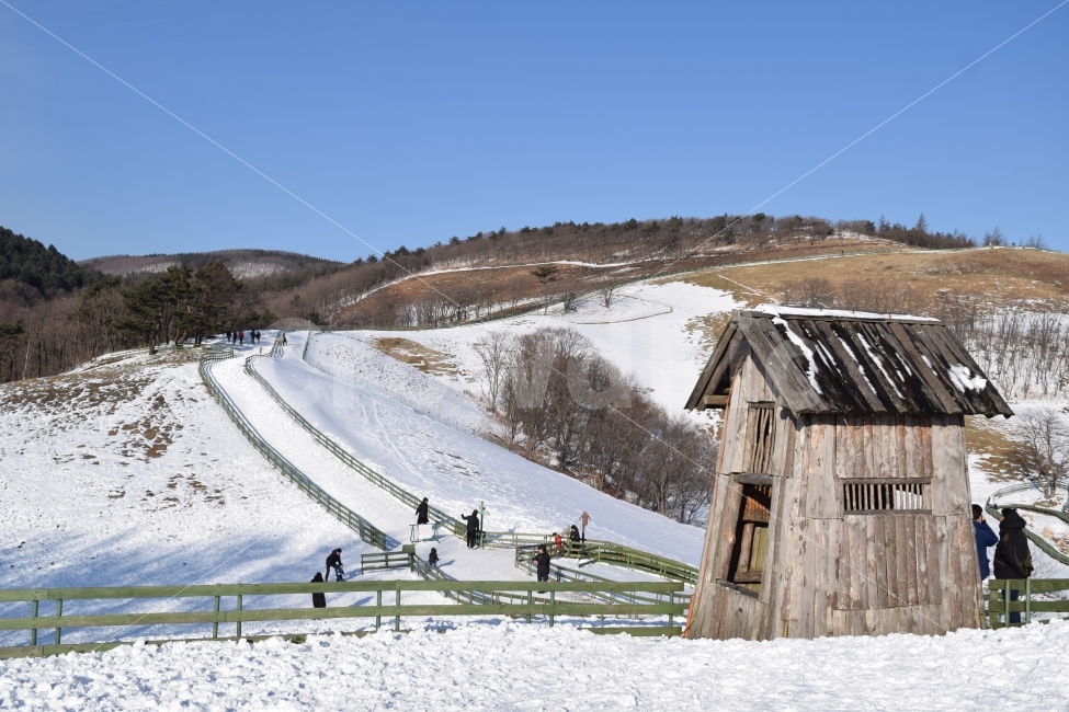 양떼목장,목장,눈,설경,겨울,감성사진,이미지사진,여행,겨울,계절,winter,season,자연,풍경,nature,landscape,한국자연풍경,한국자연경관,korea nature landscape,person,사람,human,인간,outdoors,옥외