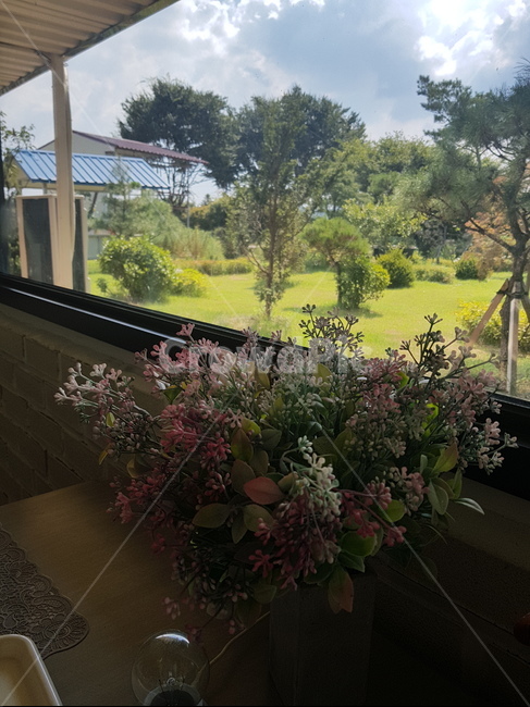 꽃nature,garden,창문,나무,옥외