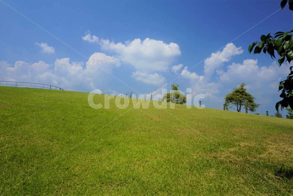 언덕,하늘,풍경,풀밭,자연,자연,풍경,nature,landscape,plant,식물,grass,잔디,outdoors,옥외,field,들,grassland,목초지