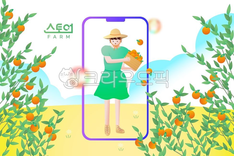 스토어팜,스마트팜,농사,농부핸드폰,폰,스마트폰,구슬,기하학,스마트,인터넷,마켓,풍경,열매,과일,농업,풀,나뭇잎,밭,구름,배경,백그라운드,하늘,귤,스토어,풀잎,사람,여자,일러스트,한라봉,바구니,여성,정원,자연,봄,여름