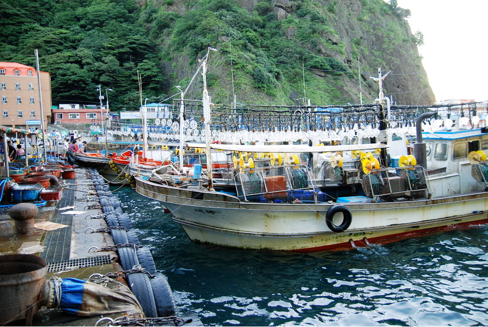 울릉도,섬,울릉군,고깃배,배,산업,industry,industrial,어업,fishery,fishing industry