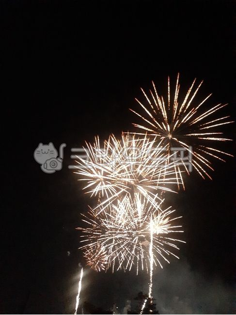 gold,night,fireworks