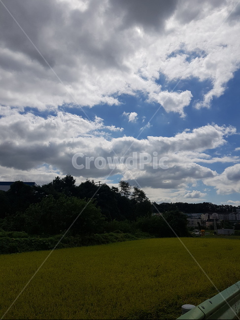 날씨,하늘,구름,풍경,자연,도로,맑음,나무,sky,road,cloud