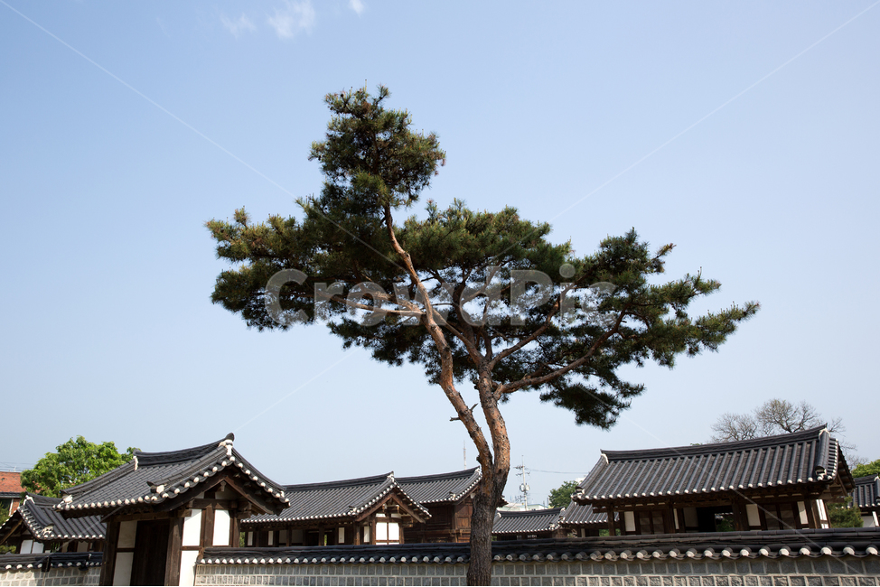 경기전,한국,전주경기전,전주시,관광지,전북,문화재,사적,고건축,전통,풍경,한옥,보물