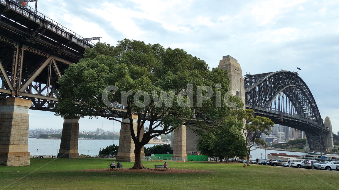 시드니,하버브릿지,풍경,나무,하늘,구름,자연,분위기,색감,느낌,순간,sydney,harbourbridge,landscape,tree,sky,cloud,nature,해외,외국,세계,foreign,oversea,world