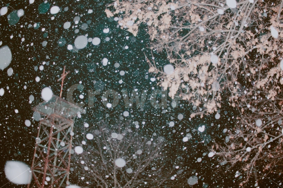 눈,겨울,십자가,교회,밤,시골,하늘,바,밤하늘,나무,겨울,계절,winter,season,종교,신앙,religion,belief,faith,감성,sensible,feeling