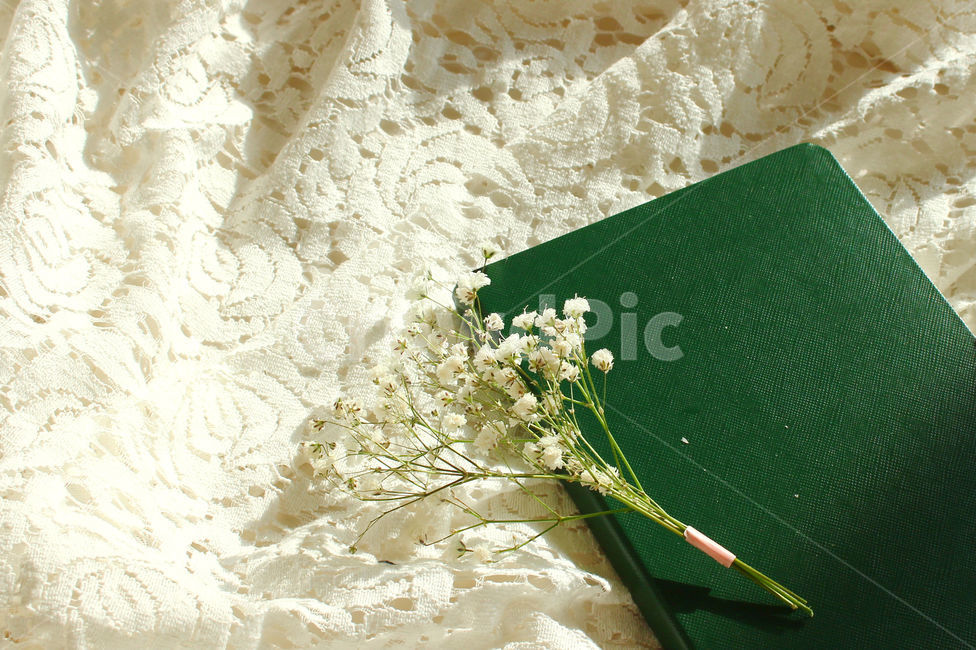 책,일기,일기장,다이어리,메모,기록,diary,안개꽃,꽃,flower,레이스,꽃,flower,감성,sensible,feeling,학용품,문구류,사무용품,school supplies,stationery,office supplies