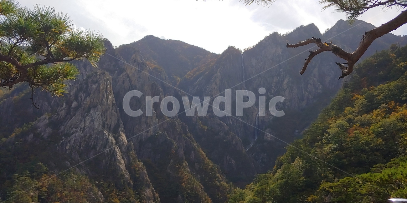 폭포,설악산,토왕성폭포,자연,산,경관,경치,나무,등산,비경,한국의산,풍경
