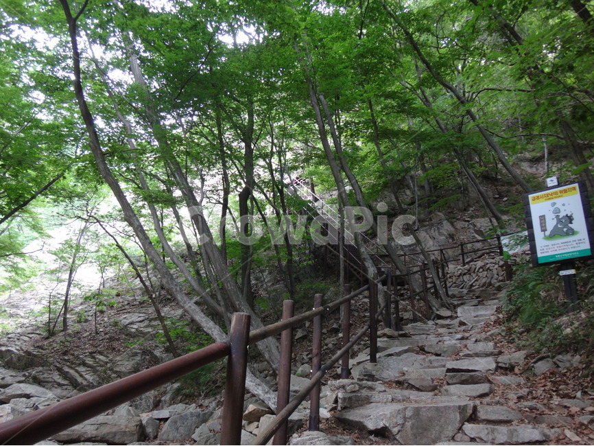등산로,탐방로,자연,산,풍경,자연,풍경,nature,landscape,flagstone,판석