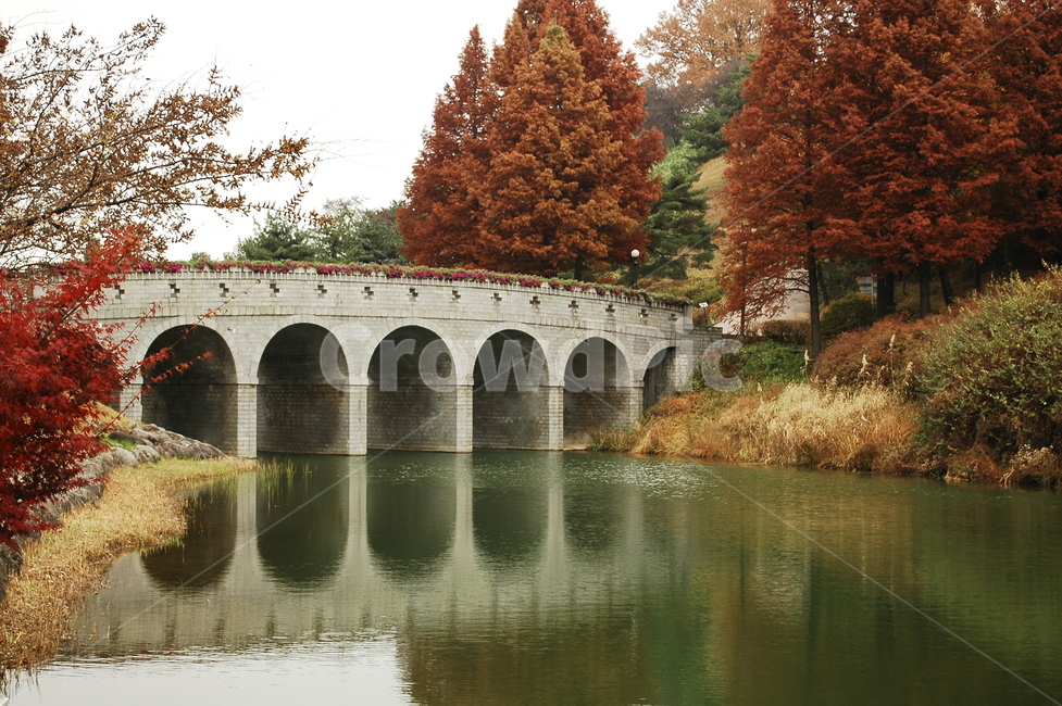 서울,올림픽공원,서울올림픽공원,다리,나무,단풍,단풍나무,물,낙엽,가을,계절,fall,autumn,season,건축물,건물외관,exterior,building,structure,architecture,construction