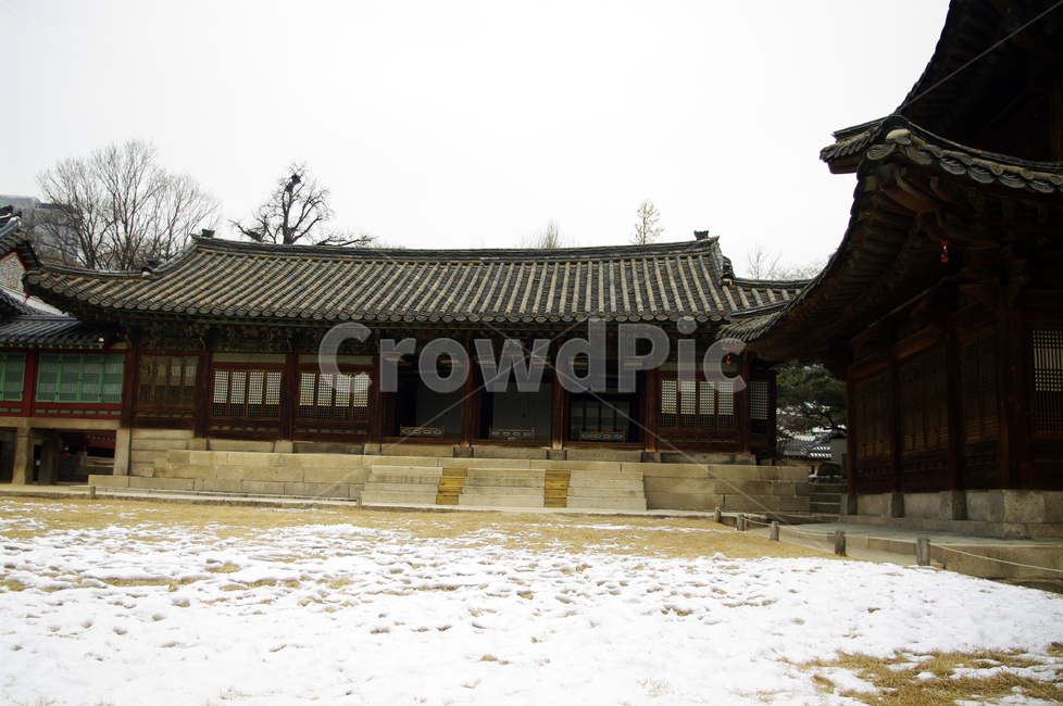 덕수궁,고궁,건축,전통건축,traditional,전통,기와지붕,겨울,winter,풍경,설경,눈,겨울,계절,winter,season,한국전통,한국문화,korean traditional,korean culture,랜드마크,landmark,tourist attraction,한국랜드마크,한국관광지,한국명소,korea landmark,korea tourist attraction