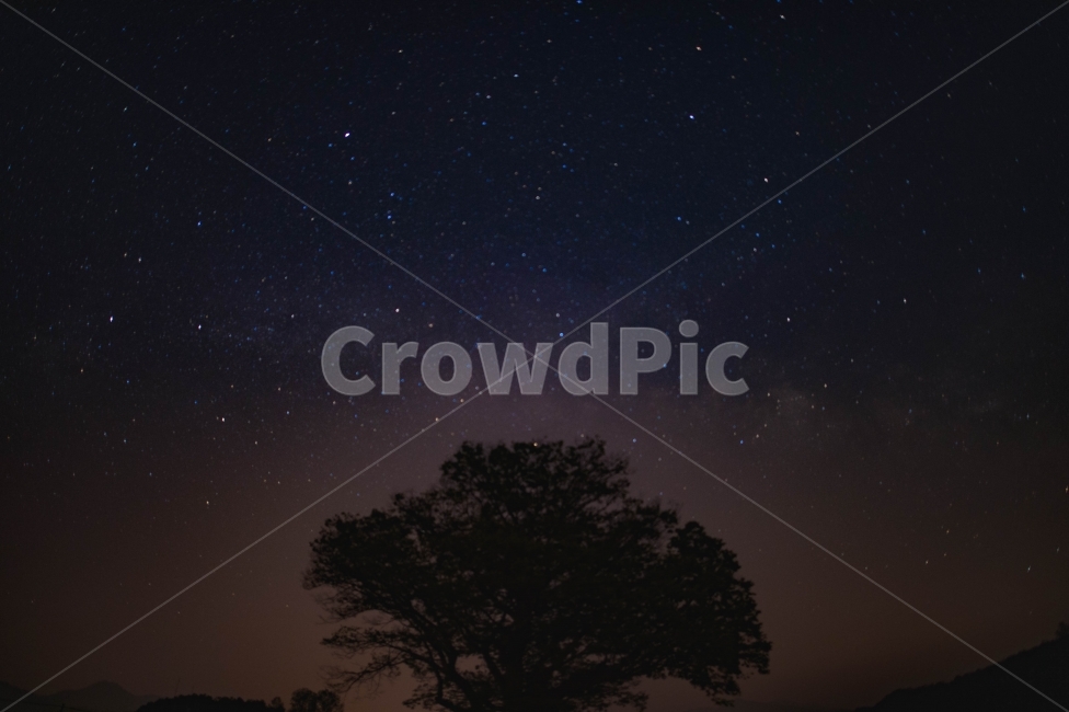 ,star,milkyway,tree,Milky Way,pouring,milky,korea,night sky,Mirinae,galaxy,repayment